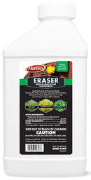 9963794.jpg