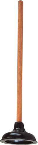 9968736.jpg