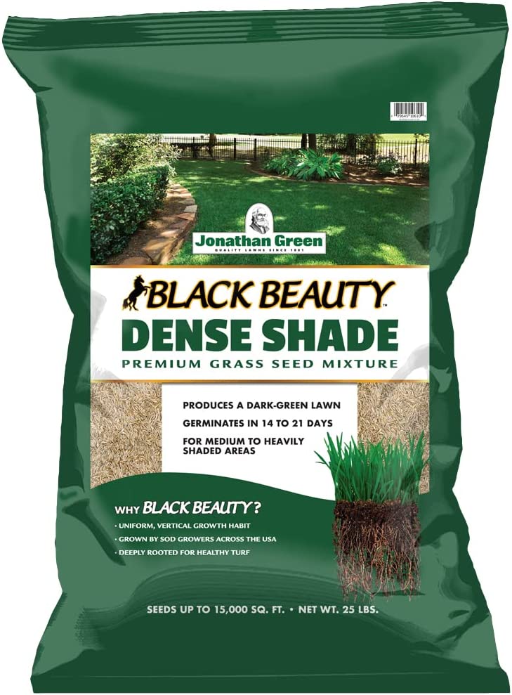 Jonathan Green (10620) Black Beauty Dense Shade Grass Seed - Cool Season Lawn Seed
