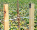 Peach Country 12 Pack of Heavy Duty Wood Stakes for Garden or Tree Support (4-Foot)