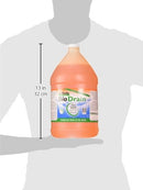 Rockwell - IBDC128 - InVade Bio Drain Gel -1 Gallon