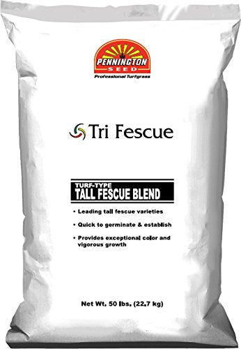 Pennington Tri Fescue Tall Fescue Blend BT, 50 lb