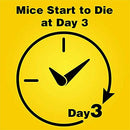 D-Con Mouse Poison Bait Station (6 Stations and 6 baits per bag, 2 Bags)