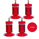 First Nature Large Hummingbird Feeder 3055 32 oz. (4-Pack)
