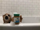 Green Coast Pet All Natural Pawnut Butter For Dogs, 16 Ounce Jar