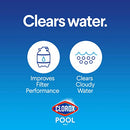 Clorox Pool&Spa 57032CLX Pool&Spa Filter Cleaner, 1-Quart
