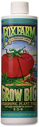Fox Farm FX14094 Grow Big Hydro Liquid Concentrate, 1 Pint Fertilizer (Pack of 2)