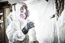 3M Mold and Lead Paint Removal Respirator, Medium - 6297PA1-A