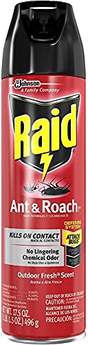 Raid Ant & Roach Killer Defense System, Outdoor Fresh Scent 17.5 Ounce (Pack of 6)