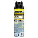 Raid Flying Insect Killer Lawn and Garden, 20 OZ (Pack - 2)