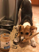 Green Coast Pet All Natural Pawnut Butter For Dogs, 16 Ounce Jar