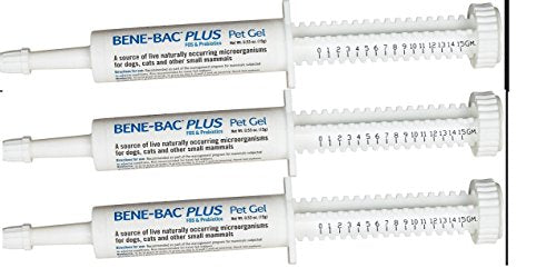 Bene-Bac Plus Probiotic Pet Gel 15g Each X 3 Syringes