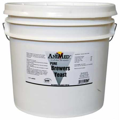Horse Brewers Yeast Supplement Size: 20 lbs (0.83" H x 0.83" W x 0.83" D)