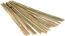 Peach Country PCIBB2 Natural Bamboo Stake, Pack of 50 (2-Feet)