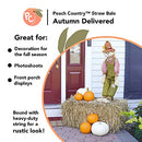 Peach Country Real Full Size Straw Bale for: Autumn Fall Decorations, Bedding, Over Seeding