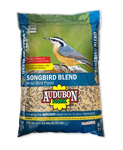 Audubon Park 12241 Songbird Blend Wild Bird Food