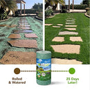 Grotrax Biodegradable Grass Seed Mat - 50 SQFT Year Round Green - Grass Seed and Fertilizer All in One for Lawns, Dog Patches & Shade - Just Roll, Water & Grow - No Fake or Artificial Grass