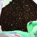 Coast of Maine - Organic Seed Starter - Sprout Island Blend 16 QT