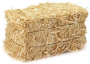Peach Country Real Full Size Straw Bale for: Autumn Fall Decorations, Bedding, Over Seeding