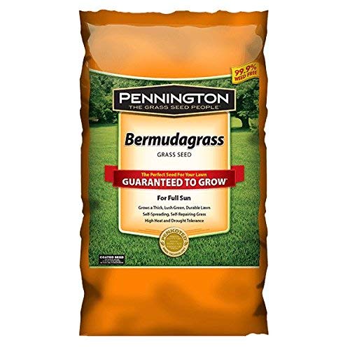 Pennington Seed 15 lb Bermuda Grass Seed