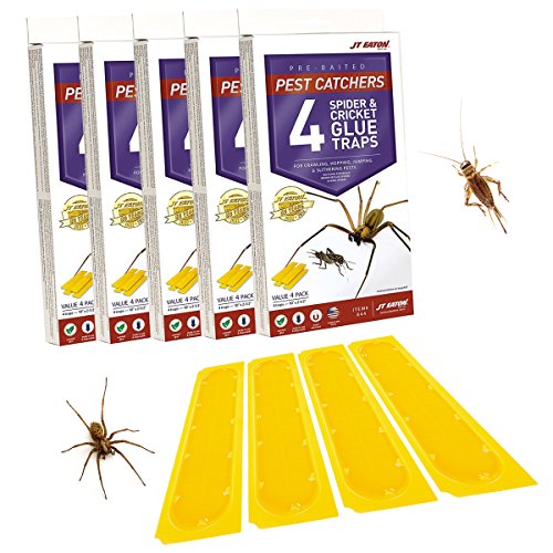 J T Eaton 076706844002 Spider and Cricket Glue Trap (Pack of 5), White Box