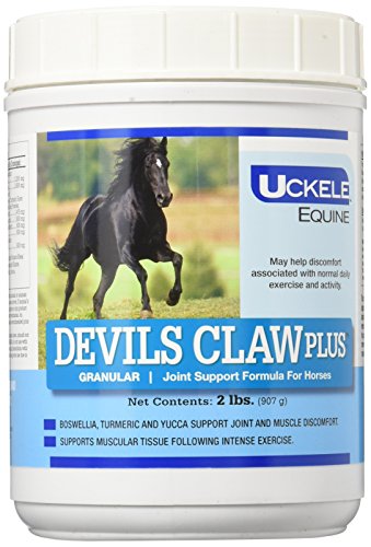 Uckele Devils Claw Plus Horse Supplement
