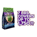 Pennington Smart Seed Dense Shade Grass Seed, 7 lb