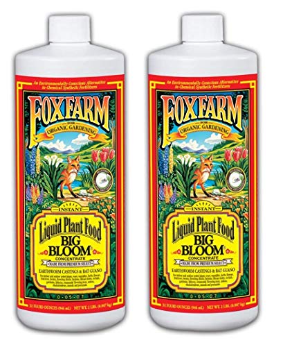 BIG BLOOM LIQUID CON QT