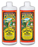 BIG BLOOM LIQUID CON QT