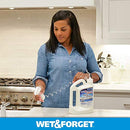 Wet & Forget Indoor Mold and Mildew All Purpose Cleaner- Deodorizes, Disinfects, Kills 99.9% of Bacteria and Viruses, 64 OZ. Ready to Use