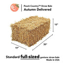 Peach Country Real Full Size Straw Bale for: Autumn Fall Decorations, Bedding, Over Seeding