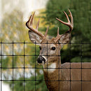 Tenax 60100109 Select Deer Fence, Black, 7.5-Feet by 100-Feet