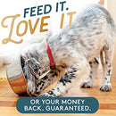 The Missing Link Original Skin & Coat Powder, All-Natural Veterinarian Formulated Superfood Dog Supplement, Balanced Omegas 3 & 6 for Healthy Skin & Coat, 5lb