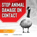 Messinas-Goose Stopper Goose And Duck Repellent Concentrate 1 Quart