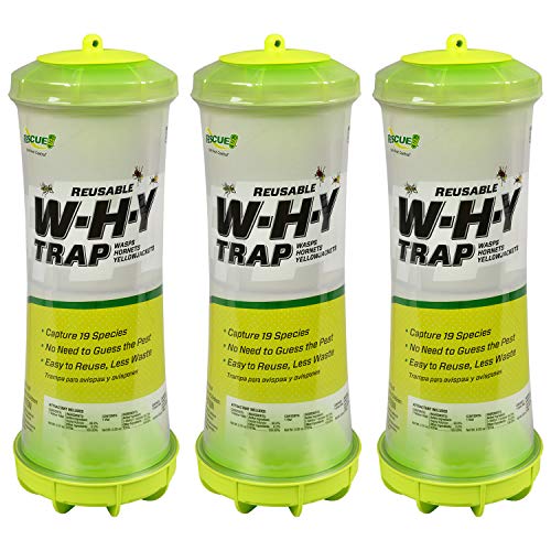 RESCUE! WHY Trap for Wasps