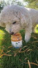Green Coast Pet All Natural Pawnut Butter For Dogs, 16 Ounce Jar