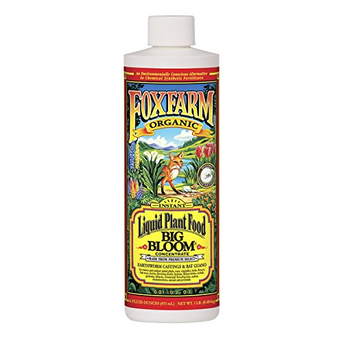 Fox Farm FX14091 Big Bloom Liquid Concentrate Fertilizer