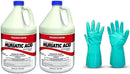 Sunbelt Chemicals 1 Gallon Muriatic Acid ( Pack of 2) with Gloves