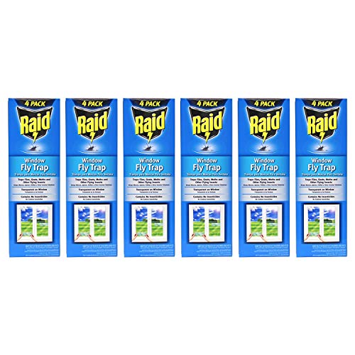 Raid Window Fly Trap