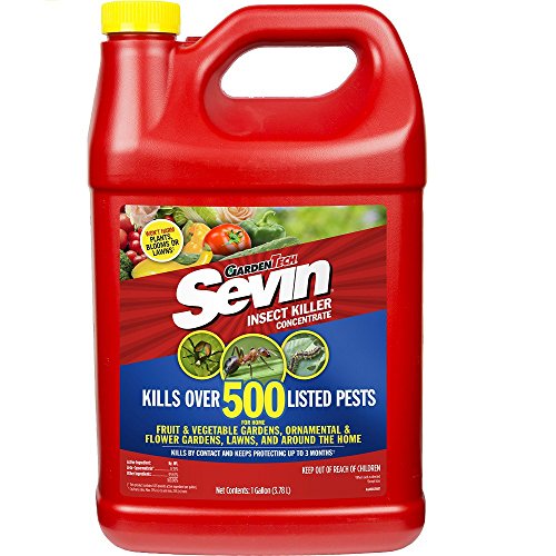 Sevin 100530124 GardenTech Insect Killer Concentrate