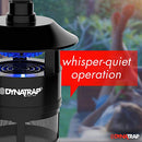 DynaTrap ¼ Acre Outdoor Mosquito and Insect Trap - Black