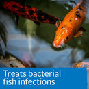 API Pond Melafix, Pond Fish Bacterial Infection Remedy, 64 oz