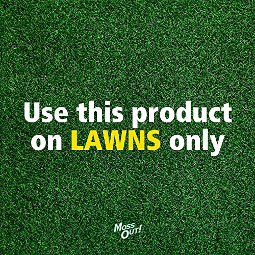 Lilly Miller Moss Out for Lawns Ready to Spray 32oz, 1-(Pack)