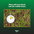 Lilly Miller Moss Out for Lawns Ready to Spray 32oz, 1-(Pack)