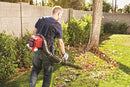 Troy-Bilt TB2BP EC 27cc 2-Cycle Gas Backpack Blower with JumpStart Technology