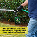 Lilly Miller Moss Out for Lawns Ready to Spray 32oz, 1-(Pack)