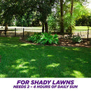 Pennington Smart Seed Dense Shade Grass Seed, 7 lb