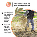 Peach Country Real Full Size Straw Bale for: Autumn Fall Decorations, Bedding, Over Seeding