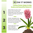Root and Bloom Organic Additive (OIM Certified) - Millions of Super Charged Microbes Designed as a Rooting Hormone and Flower Food. Plant Nutrients to Maximize Soil Structure and Plant Health