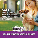 MouseX Throw Packs Bait Pellets for Mice, Pack of 6